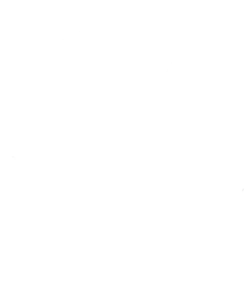 Partizan
